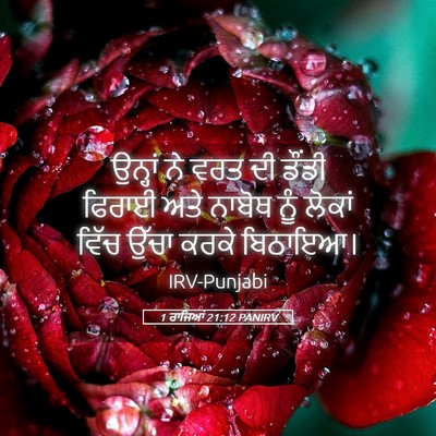 Picture 05 - 1 ਰਾਜਿਆਂ 21:12 PANIRV - ਉਨ੍ਹਾਂ ਨੇ ਵਰਤ ਦੀ - Bible Verse Picture