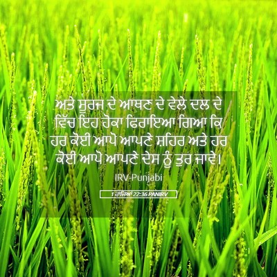 Picture 05 - 1 ਰਾਜਿਆਂ 22:36 PANIRV - ਅਤੇ ਸੂਰਜ ਦੇ ਆਥਣ ਦੇ - Bible Verse Picture