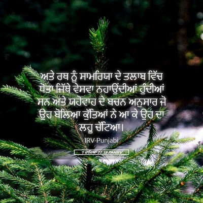Picture 05 - 1 ਰਾਜਿਆਂ 22:38 PANIRV - ਅਤੇ ਰਥ ਨੂੰ ਸਾਮਰਿਯਾ - Bible Verse Picture
