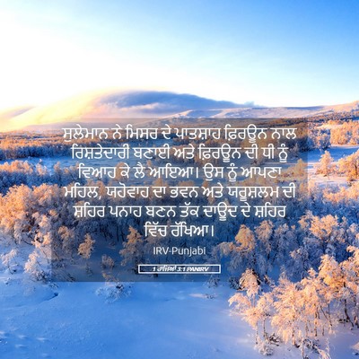 Picture 05 - 1 ਰਾਜਿਆਂ 3:1 PANIRV - ਸੁਲੇਮਾਨ ਨੇ ਮਿਸਰ ਦੇ - Bible Verse Picture