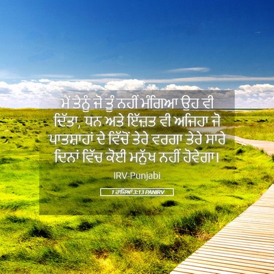Picture 05 - 1 ਰਾਜਿਆਂ 3:13 PANIRV - ਮੈਂ ਤੈਨੂੰ ਜੋ ਤੂੰ - Bible Verse Picture