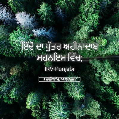 Picture 05 - 1 ਰਾਜਿਆਂ 4:14 PANIRV - ਇੱਦੋ ਦਾ ਪੁੱਤਰ - Bible Verse Picture