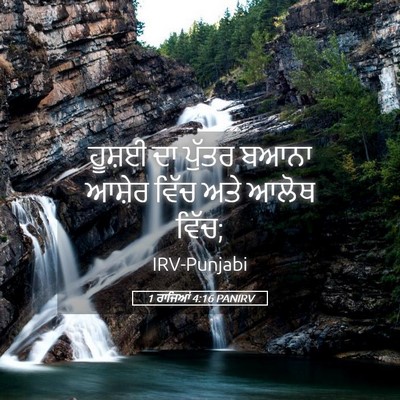 Picture 05 - 1 ਰਾਜਿਆਂ 4:16 PANIRV - ਹੂਸ਼ਈ ਦਾ ਪੁੱਤਰ - Bible Verse Picture