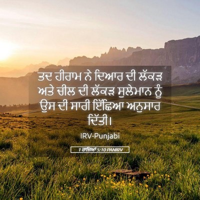 Picture 05 - 1 ਰਾਜਿਆਂ 5:10 PANIRV - ਤਦ ਹੀਰਾਮ ਨੇ ਦਿਆਰ ਦੀ - Bible Verse Picture