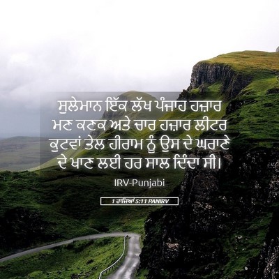 Picture 05 - 1 ਰਾਜਿਆਂ 5:11 PANIRV - ਸੁਲੇਮਾਨ ਇੱਕ ਲੱਖ - Bible Verse Picture