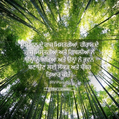 Picture 05 - 1 ਰਾਜਿਆਂ 5:18 PANIRV - ਸੁਲੇਮਾਨ ਦੇ ਰਾਜ - Bible Verse Picture
