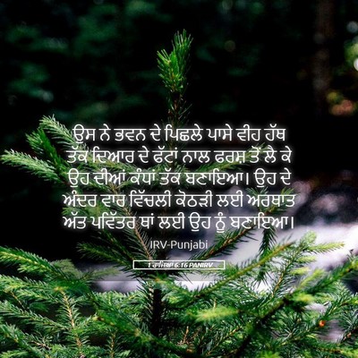Picture 05 - 1 ਰਾਜਿਆਂ 6:16 PANIRV - ਉਸ ਨੇ ਭਵਨ ਦੇ ਪਿਛਲੇ - Bible Verse Picture