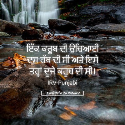 Picture 05 - 1 ਰਾਜਿਆਂ 6:26 PANIRV - ਇੱਕ ਕਰੂਬ ਦੀ ਉਚਿਆਈ - Bible Verse Picture