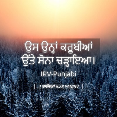 Picture 05 - 1 ਰਾਜਿਆਂ 6:28 PANIRV - ਉਸ ਉਨ੍ਹਾਂ ਕਰੂਬੀਆਂ - Bible Verse Picture