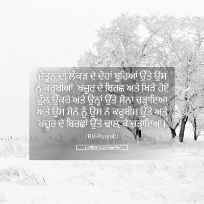 Picture 05 - 1 ਰਾਜਿਆਂ 6:32 PANIRV - ਜ਼ੈਤੂਨ ਦੀ ਲੱਕੜ ਦੇ - Bible Verse Picture