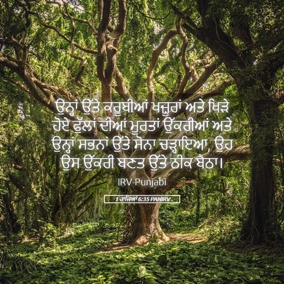 Picture 05 - 1 ਰਾਜਿਆਂ 6:35 PANIRV - ਉਨ੍ਹਾਂ ਉੱਤੇ - Bible Verse Picture