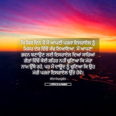 Picture 05 - 1 ਰਾਜਿਆਂ 8:16 PANIRV - ਕਿ ਜਿਸ ਦਿਨ ਤੋਂ ਮੈਂ - Bible Verse Picture