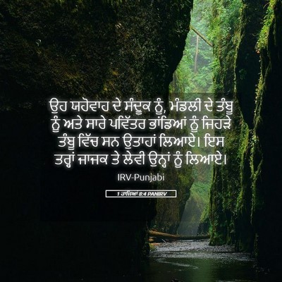 Picture 05 - 1 ਰਾਜਿਆਂ 8:4 PANIRV - ਉਹ ਯਹੋਵਾਹ ਦੇ ਸੰਦੂਕ - Bible Verse Picture