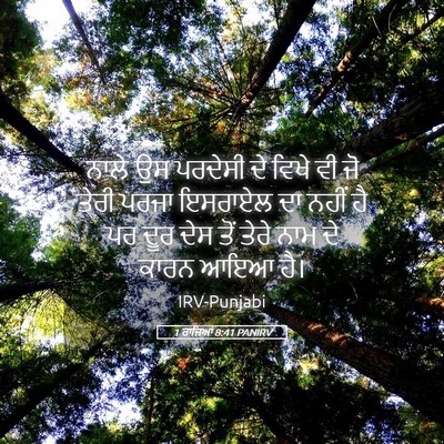 Picture 05 - 1 ਰਾਜਿਆਂ 8:41 PANIRV - ਨਾਲੇ ਉਸ ਪਰਦੇਸੀ ਦੇ - Bible Verse Picture