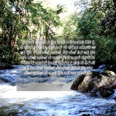 Picture 05 - 1 ਰਾਜਿਆਂ 8:64 PANIRV - ਉਸ ਦਿਨ ਪਾਤਸ਼ਾਹ ਨੇ - Bible Verse Picture