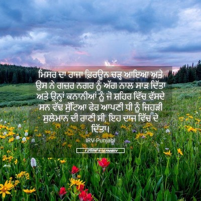 Picture 05 - 1 ਰਾਜਿਆਂ 9:16 PANIRV - ਮਿਸਰ ਦਾ ਰਾਜਾ - Bible Verse Picture