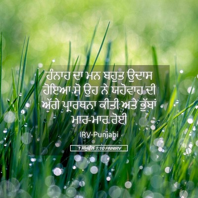 Picture 05 - 1 ਸਮੂਏਲ 1:10 PANIRV - ਹੰਨਾਹ ਦਾ ਮਨ ਬਹੁਤ - Bible Verse Picture