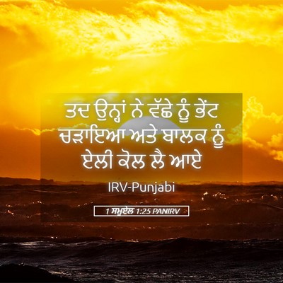 Picture 05 - 1 ਸਮੂਏਲ 1:25 PANIRV - ਤਦ ਉਨ੍ਹਾਂ ਨੇ ਵੱਛੇ - Bible Verse Picture