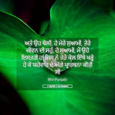 Picture 05 - 1 ਸਮੂਏਲ 1:26 PANIRV - ਅਤੇ ਉਹ ਬੋਲੀ, ਹੇ - Bible Verse Picture