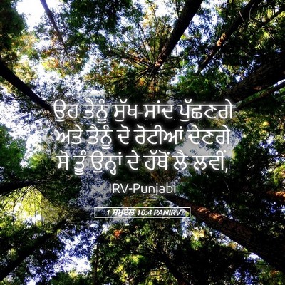 Picture 05 - 1 ਸਮੂਏਲ 10:4 PANIRV - ਉਹ ਤੈਨੂੰ ਸੁੱਖ-ਸਾਂਦ - Bible Verse Picture