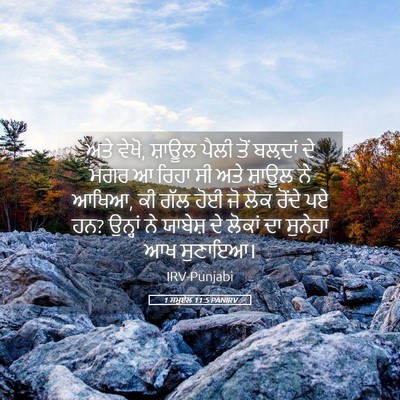 Picture 05 - 1 ਸਮੂਏਲ 11:5 PANIRV - ਅਤੇ ਵੇਖੋ, ਸ਼ਾਊਲ - Bible Verse Picture
