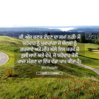 Picture 05 - 1 ਸਮੂਏਲ 12:17 PANIRV - ਕੀ, ਅੱਜ ਕਣਕ ਵੱਢਣ ਦਾ - Bible Verse Picture