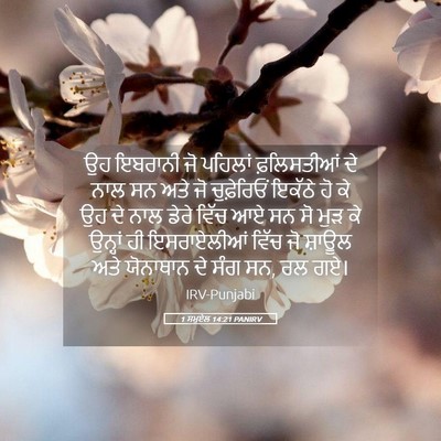 Picture 05 - 1 ਸਮੂਏਲ 14:21 PANIRV - ਉਹ ਇਬਰਾਨੀ ਜੋ - Bible Verse Picture