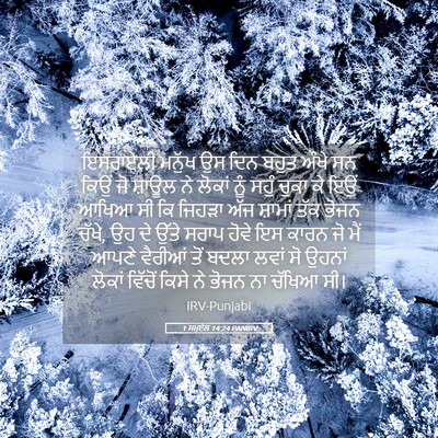Picture 05 - 1 ਸਮੂਏਲ 14:24 PANIRV - ਇਸਰਾਏਲੀ ਮਨੁੱਖ ਉਸ - Bible Verse Picture