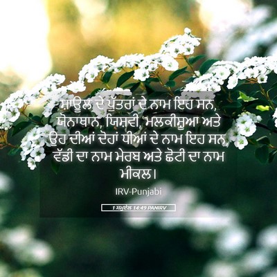 Picture 05 - 1 ਸਮੂਏਲ 14:49 PANIRV - ਸ਼ਾਊਲ ਦੇ ਪੁੱਤਰਾਂ - Bible Verse Picture