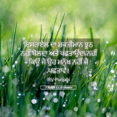 Picture 05 - 1 ਸਮੂਏਲ 15:29 PANIRV - ਇਸਰਾਏਲ ਦਾ - Bible Verse Picture
