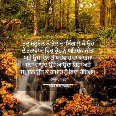Picture 05 - 1 ਸਮੂਏਲ 16:13 PANIRV - ਤਦ ਸਮੂਏਲ ਨੇ ਤੇਲ ਦਾ - Bible Verse Picture