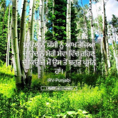 Picture 05 - 1 ਸਮੂਏਲ 16:22 PANIRV - ਸ਼ਾਊਲ ਨੇ ਯੱਸੀ ਨੂੰ - Bible Verse Picture