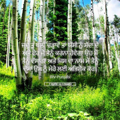 Picture 05 - 1 ਸਮੂਏਲ 16:3 PANIRV - ਜਦ ਤੂੰ ਬਲੀ - Bible Verse Picture