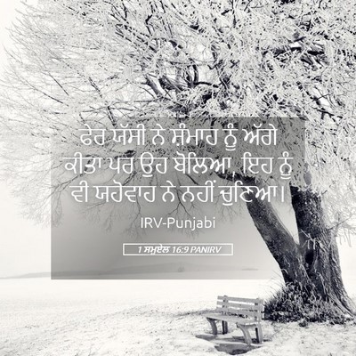 Picture 05 - 1 ਸਮੂਏਲ 16:9 PANIRV - ਫੇਰ ਯੱਸੀ ਨੇ ਸ਼ੰਮਾਹ - Bible Verse Picture
