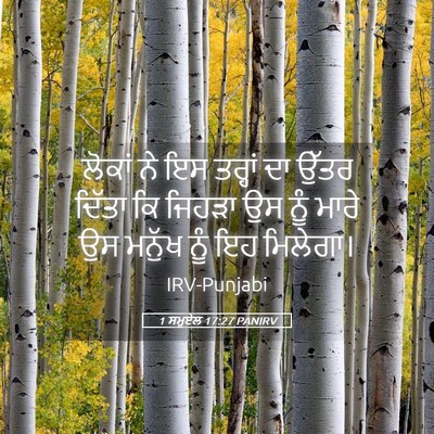 Picture 05 - 1 ਸਮੂਏਲ 17:27 PANIRV - ਲੋਕਾਂ ਨੇ ਇਸ ਤਰ੍ਹਾਂ - Bible Verse Picture