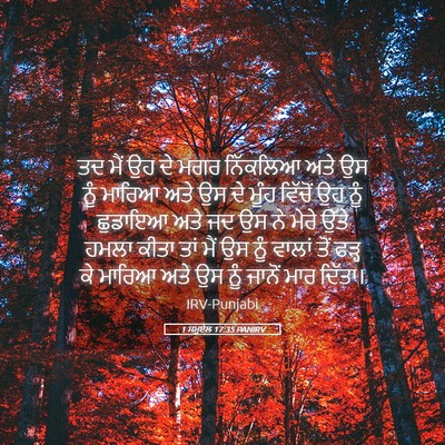 Picture 05 - 1 ਸਮੂਏਲ 17:35 PANIRV - ਤਦ ਮੈਂ ਉਹ ਦੇ ਮਗਰ - Bible Verse Picture