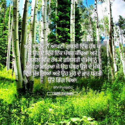 Picture 05 - 1 ਸਮੂਏਲ 17:49 PANIRV - ਅਤੇ ਦਾਊਦ ਨੇ ਆਪਣੀ - Bible Verse Picture