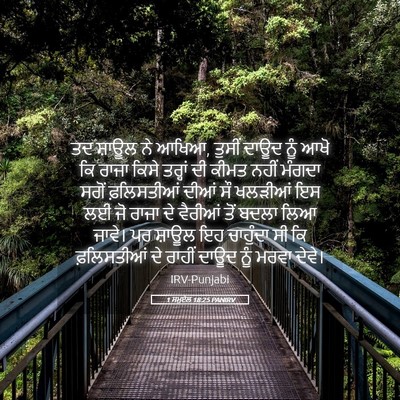 Picture 05 - 1 ਸਮੂਏਲ 18:25 PANIRV - ਤਦ ਸ਼ਾਊਲ ਨੇ ਆਖਿਆ, - Bible Verse Picture