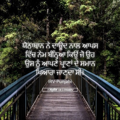 Picture 05 - 1 ਸਮੂਏਲ 18:3 PANIRV - ਯੋਨਾਥਾਨ ਨੇ ਦਾਊਦ - Bible Verse Picture