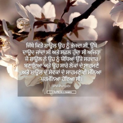 Picture 05 - 1 ਸਮੂਏਲ 18:5 PANIRV - ਜਿੱਥੇ ਕਿਤੇ ਸ਼ਾਊਲ - Bible Verse Picture