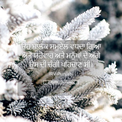 Picture 05 - 1 ਸਮੂਏਲ 2:26 PANIRV - ਉਹ ਬਾਲਕ ਸਮੂਏਲ ਵਧਦਾ - Bible Verse Picture