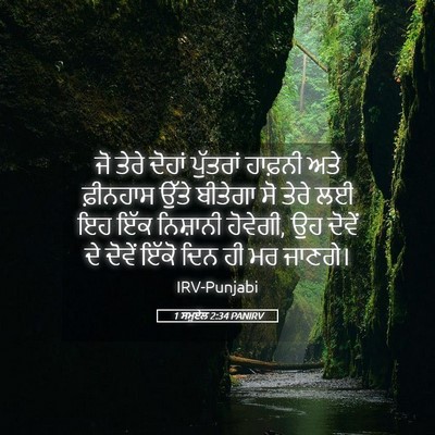 Picture 05 - 1 ਸਮੂਏਲ 2:34 PANIRV - ਜੋ ਤੇਰੇ ਦੋਹਾਂ - Bible Verse Picture