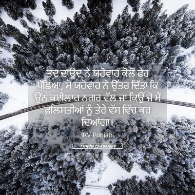 Picture 05 - 1 ਸਮੂਏਲ 23:4 PANIRV - ਤਦ ਦਾਊਦ ਨੇ ਯਹੋਵਾਹ - Bible Verse Picture