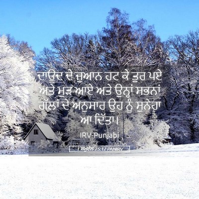 Picture 05 - 1 ਸਮੂਏਲ 25:12 PANIRV - ਦਾਊਦ ਦੇ ਜੁਆਨ ਹਟ ਕੇ - Bible Verse Picture
