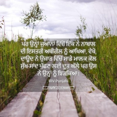 Picture 05 - 1 ਸਮੂਏਲ 25:14 PANIRV - ਪਰ ਉਨ੍ਹਾਂ ਜੁਆਨਾਂ - Bible Verse Picture