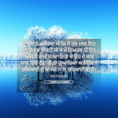 Picture 05 - 1 ਸਮੂਏਲ 25:21 PANIRV - ਦਾਊਦ ਨੇ ਆਖਿਆ ਸੀ ਕਿ - Bible Verse Picture