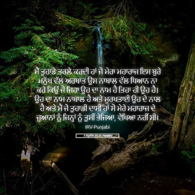 Picture 05 - 1 ਸਮੂਏਲ 25:25 PANIRV - ਮੈਂ ਤੁਹਾਡੇ ਤਰਲੇ - Bible Verse Picture
