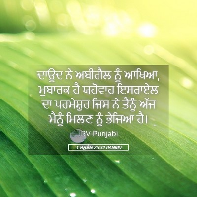 Picture 05 - 1 ਸਮੂਏਲ 25:32 PANIRV - ਦਾਊਦ ਨੇ ਅਬੀਗੈਲ ਨੂੰ - Bible Verse Picture