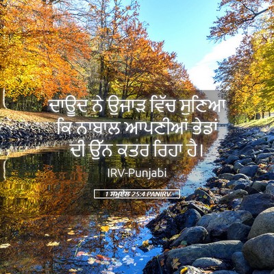 Picture 05 - 1 ਸਮੂਏਲ 25:4 PANIRV - ਦਾਊਦ ਨੇ ਉਜਾੜ ਵਿੱਚ - Bible Verse Picture