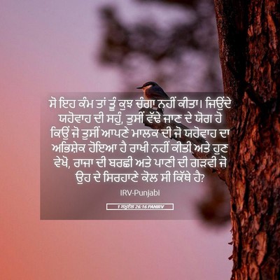 Picture 05 - 1 ਸਮੂਏਲ 26:16 PANIRV - ਸੋ ਇਹ ਕੰਮ ਤਾਂ ਤੂੰ - Bible Verse Picture